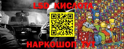 гидропоника Краснознаменск