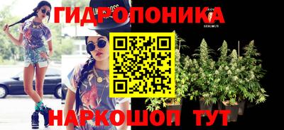 гидропоника Краснознаменск